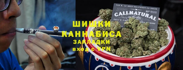 первитин Богородицк