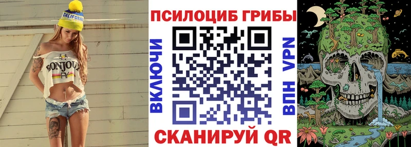 Псилоцибиновые грибы Cubensis  мега онион  Дорогобуж 