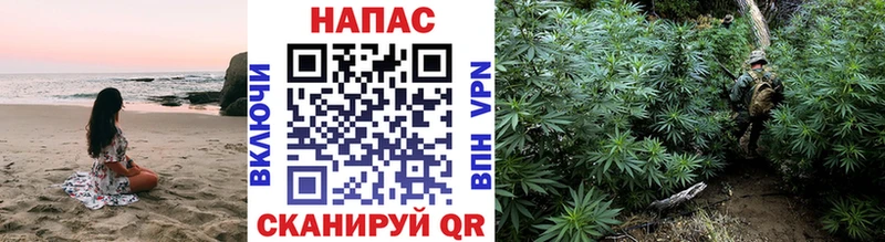 Бошки Шишки гибрид где продают наркотики Дорогобуж